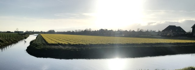Zonsondergang Voorhout
