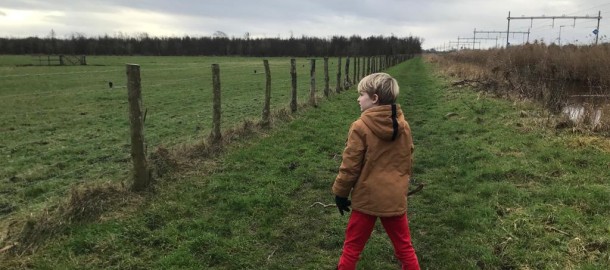 Wandelpad langs het spoor in Lisse.jpeg